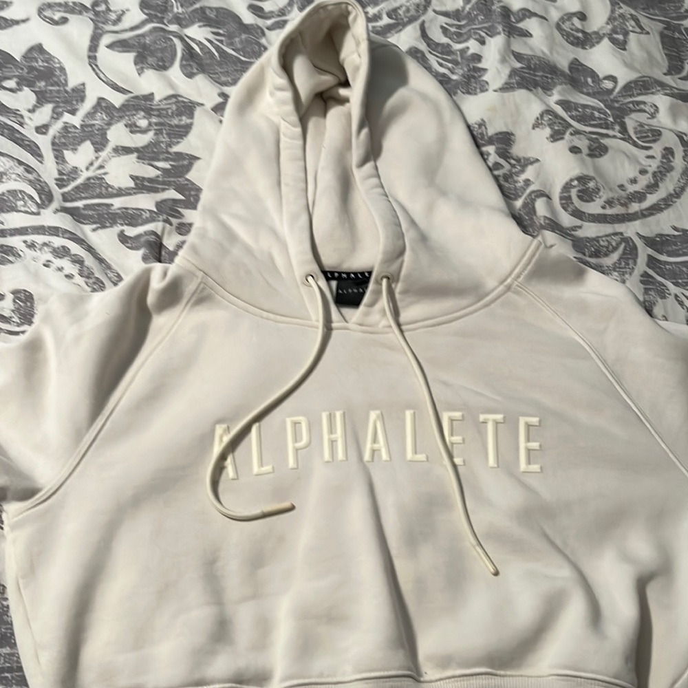 Alphalete Crop Hoodie